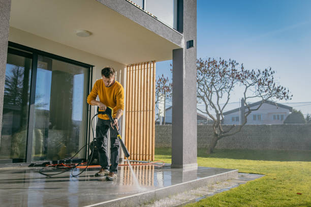 Best Gutter Cleaning  in Dunnellon, FL