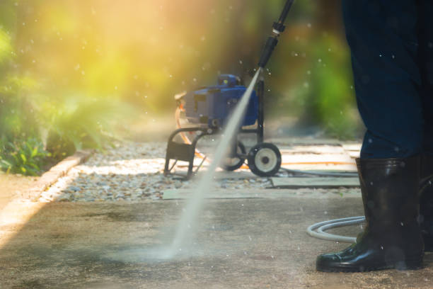 Best Fence Cleaning  in Dunnellon, FL